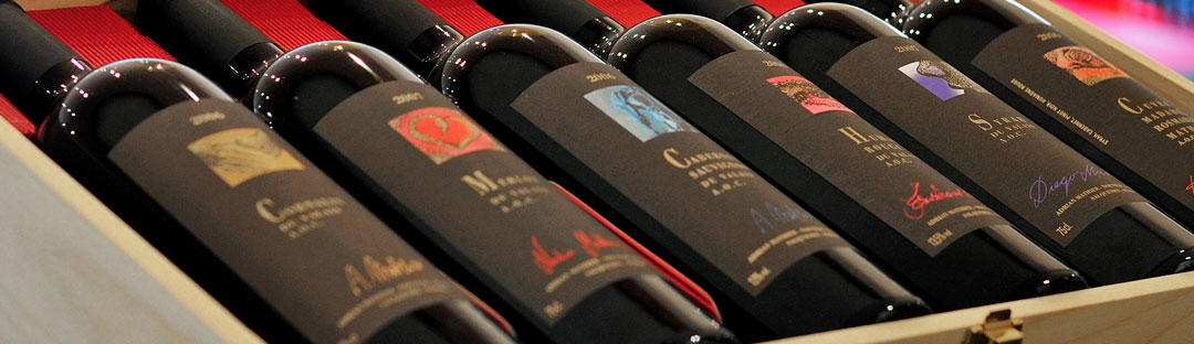 WINES FROM ADRIAN & DIEGO MATHIER – BEST SWISS WINERY OF THE DECADE