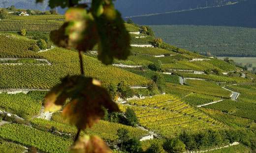 THE BEST OF VALAIS