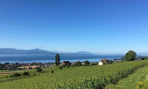 WAADTLAND – LA CÔTE 