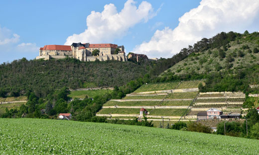 FINE WINES FROM NEUENBURG