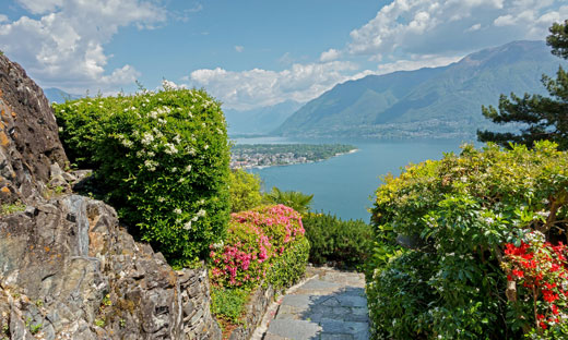 VIVA IL TICINO
