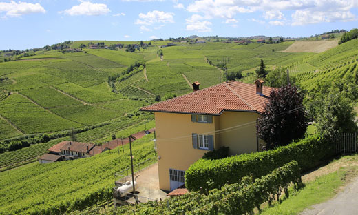 PIEDMONT IN A GLASS