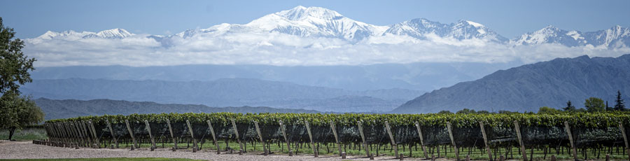 Mendoza