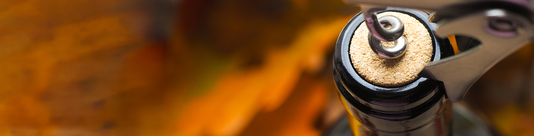 Empfehlungen Empfehlungen