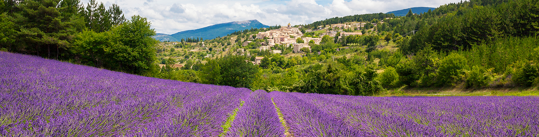 Provence