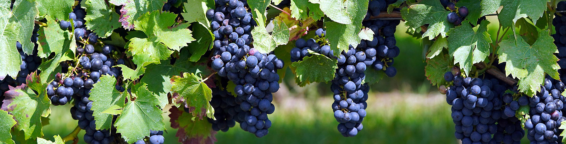 Península de Setúbal