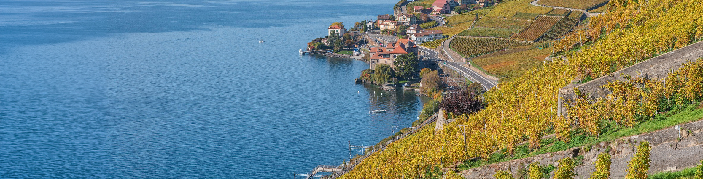 Lavaux