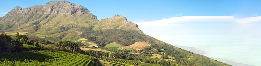 Stellenbosch