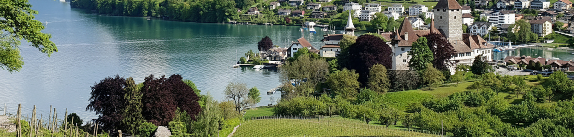Thunersee