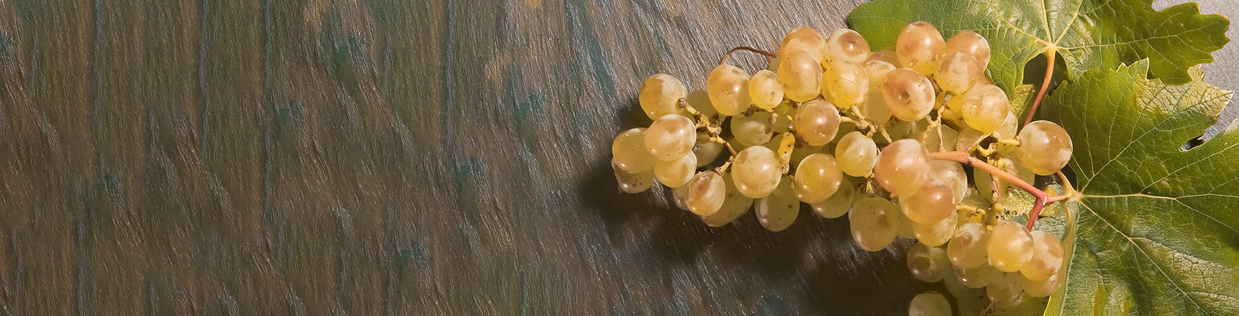 Marsanne