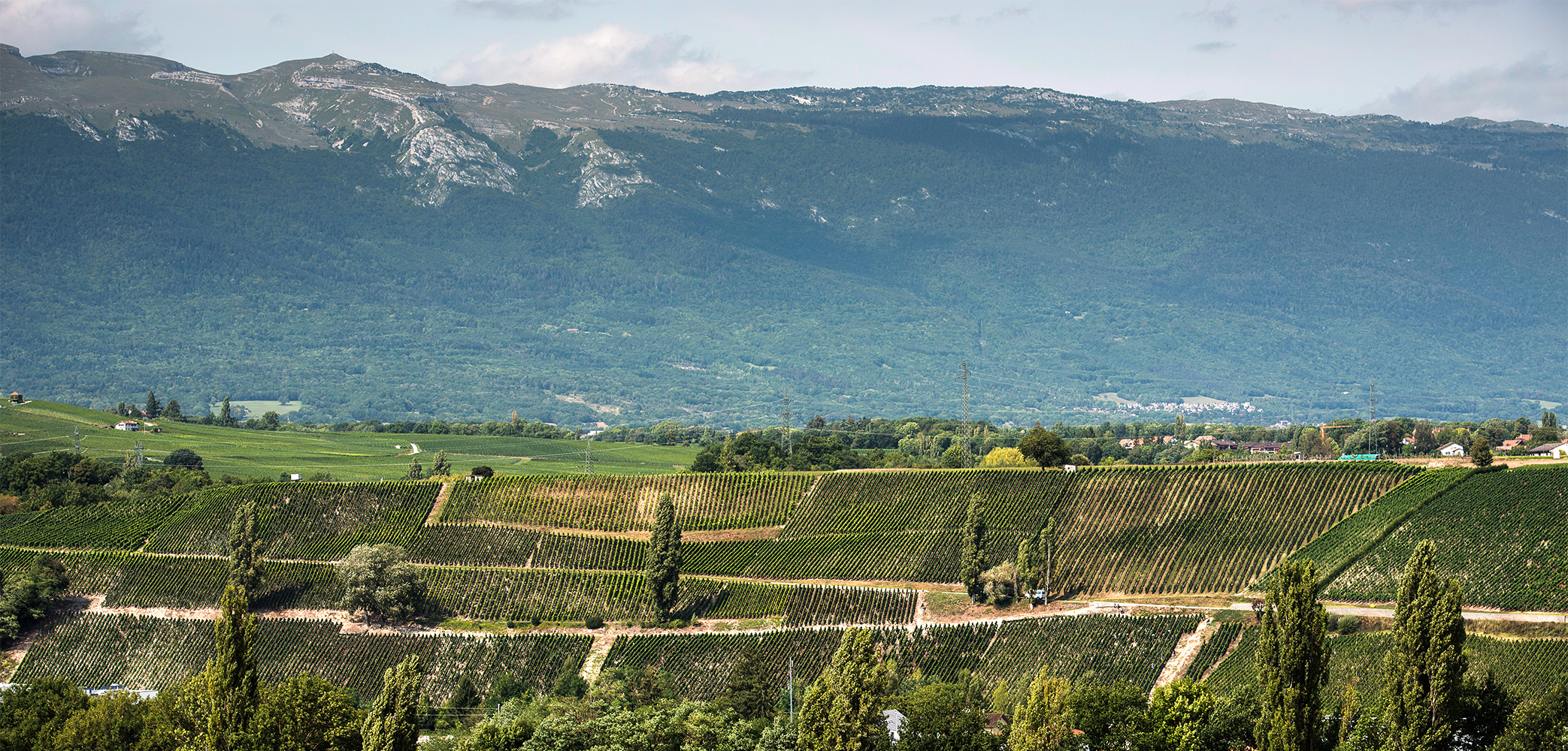 product hero image