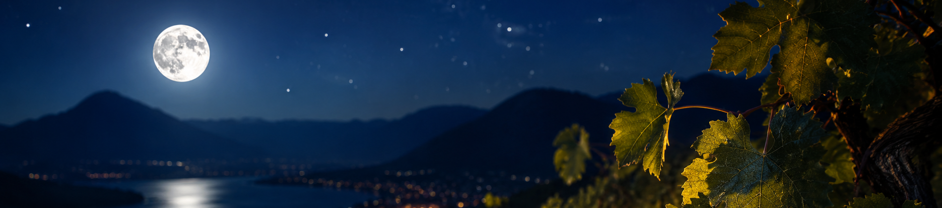 product hero image